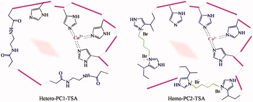 Figure 11. Homogeneous and heterogeneous esterase MIPs with the imprints of methyl hydrogen p-nitrobenzylphosphonate [Citation52].