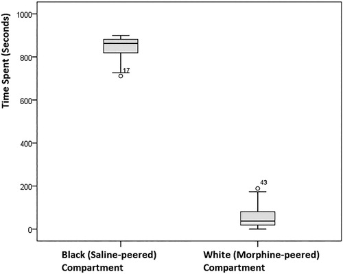 Figure 5. Time spent by rats in preliminary test stage within white compartment and black compartment.