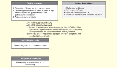 Figure 5. A diagnostic and therapeutic schema. Physical examination for estrogen-unrelated symptoms is crucial for exclusion of aromatase excess syndrome diagnosis.