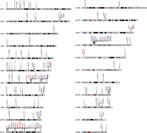 Figure 1. Karyogram depicting the distribution of interrogated imprinted loci across the genome. Paternally expressed loci are indicated in blue, maternally expressed loci are indicated in red and loci where the parental allele expressed is unknown are indicated in grey.