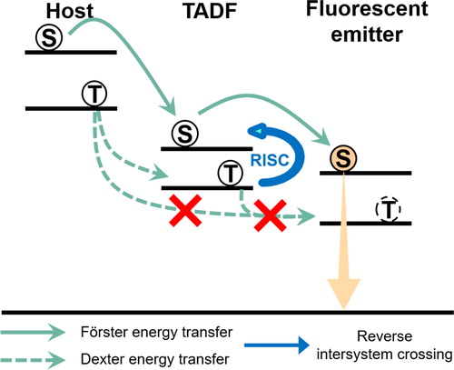 Figure 1. The emission mechanism of hyper-fluorescent OLEDs.