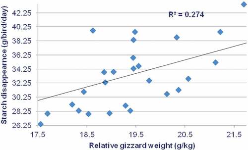 Figure 2. Linear relationship (r = 0.523; P = 0.004) between relative gizzard weights and starch disappearance rates at the proximal jejunum in broiler chickens offered Tiger sorghum-based diets.