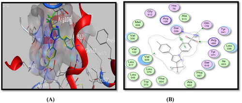 Figure 7. Binding mode of celecoxib inside COX-2 active site, (A) 3D visualisation of co-crystallised celecoxib ligand (yellow colour) superimposed with redocked celecoxib (cyan colour), indicating good fitting inside the pocket, (B) 2D binding mode of celecoxib inside COX-2 active site showing three H-bonding interactions with Arg499, Gln178, and Ser339 amino acid residues and one arene-H interaction with Ser339 amino acid residue.
