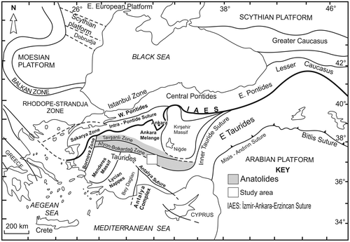 Figure 1. Outline tectonic map of Turkey showing the study area (taken from Robertson & Ustaömer, Citation2009; tectonic zones are from Okay & Tüysüz, Citation1999).