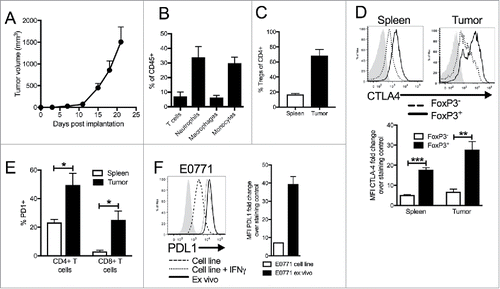 Figure 1. Characterization of immune infiltration in E0771 TNBC tumor model. (A) E0771 cells were orthotopically implanted into the mammary fat pad of C57 BL/6 mice and tumor volume was measured biweekly. (B) Tumors were enzymatically digested and analyzed for immune cell infiltration when tumors reached terminal endpoint volume. Gating as follows: CD45+CD11-CD4+ or CD8+ T cells, CD45+CD11b+Ly6ChiLy6G- monocytes, CD45+CD11b+Ly6Ghi neutrophils, CD45+CD11b+Ly6 C-Ly6G-F480+ macrophages (C) CD45+CD11b-CD8β-CD4+FoxP3+ Tregs from spleens and tumors were quantified by flow cytometry when tumors reached terminal endpoint volume. (D) Representative histograms from tumors and spleens pregated on live, CD45+, CD11b-, CD8β-, CD4+, FoxP3+ or FoxP3- (top) and quantification (bottom). (E) CD45+CD11b-CD8β+ or CD45+CD11b-CD4+ cells from the spleen or tumors were analyzed for expression of PD1 when tumors reached terminal volume. (F) E0771 cells grown in culture, E0771 cells grown in culture with 10ng/ml recombinant IFNγ for 48 hours, or taken ex vivo from tumors grown orthotopically in the mammary fat pad of C57 BL/6 mice when tumors reached terminal endpoint volume were stained for PDL1 expression. Error bars indicate SEM. Representative of 3 experiments. n = 5 mice per group; *P < 0.05; **P < 0.01; ***P < 0.001 by paired t-test.