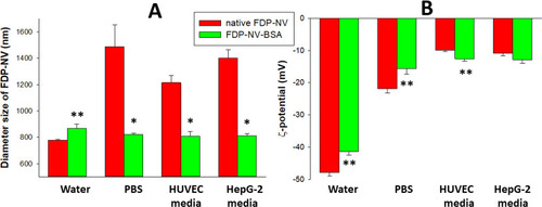 Figure 1 Effect of passive adsorption of BSA on aggregation and surface potential of FDP-NV functionalized with carboxyl groups and suspended in water, culture medium and biological buffers, respectively.