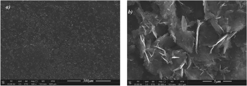 Figure 5. SEM images of GNPs film at 500X (a) and 20000X (b) magnifications.