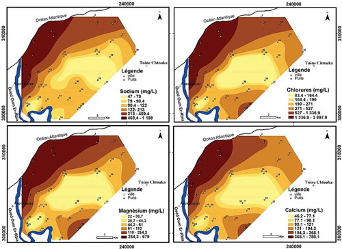 Figure 7. Distribution spatiale des chlorures, du sodium, du calcium et du magnésium dans l’aquifère crétacé de la Chaouia côtière (mai 2011).