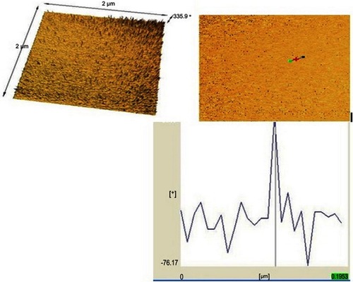 Figure 6 Atomic force microscopy (AFM) images of the nanoparticles modified by oleic acid (NPMO) surface morphology (top and bottom, topographical view); AFM image with the prior preparation of mounting samples.