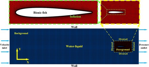 Figure 5. Overset mesh and boundary conditions.