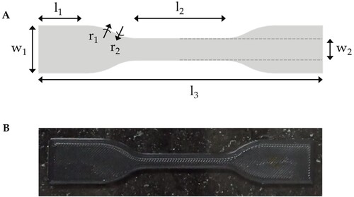 Figure 1. 3D-printed dog-bone specimen ABS sample shape and dimensions based on ASTM D638 standard for use in tensile tests. (A) 3D-CAD model showing all the dimensions in mm. l1: 22.50, l2: 33.00, l3: 115.00, r1: 25.00, r2: 14.00, w1: 19.00, and w2: 6.00. Sample thickness t: 3.00. (B) 3D-printed dog-bone specimen ABS sample.