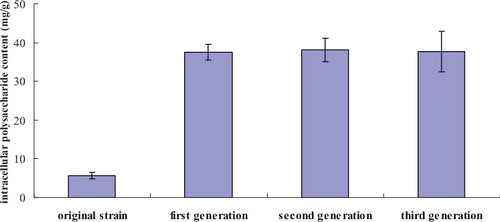 Figure 2. Comparison of intracellular polysaccharide content between the original strain and mutants.