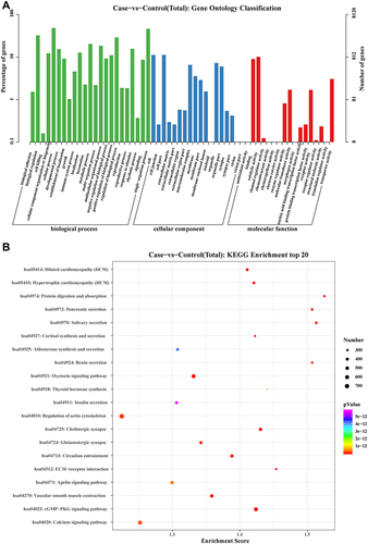 Figure 7 KEGG pathway enrichment analysis and Gene Ontology (GO) classification for targeted mRNAs of differentially expressed miRNAs.