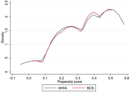 Figure 2. Distribution of the propensity score in patients who underwent MWA or BCS in the PSM population.