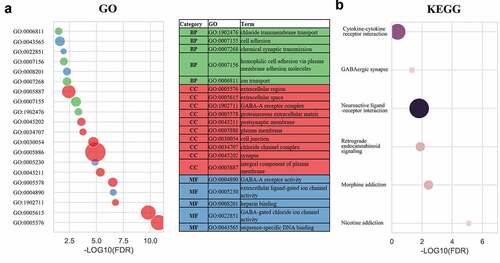 Figure 3. Gene enrichment analysis indicated a potential mechanism that correlated with high SPNS3 expression. Significantly (false discovery rate (FDR)<0.05) enriched GO terms (a) and KEGG pathways (b) of differentially expressed genes (DEGs) between the SPNS3-high and -low groups in the TARGET database