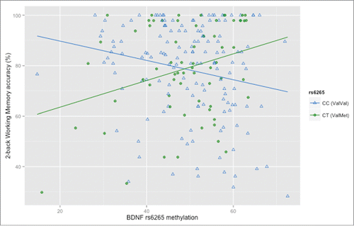 Figure 3. Relationship between methylation of BDNF rs6265 in PBMCs and working memory (WM) accuracy in healthy subjects. Scatterplot of the correlations between methylation of rs6265 (T scores) and WM accuracy: in Val/Val subjects (N = 145) increased methylation is associated with impaired accuracy, while in Val/Met heterozygotes (N = 66) blunted methylation is associated with impaired accuracy (See text and Supplemental file 1 for statistics).