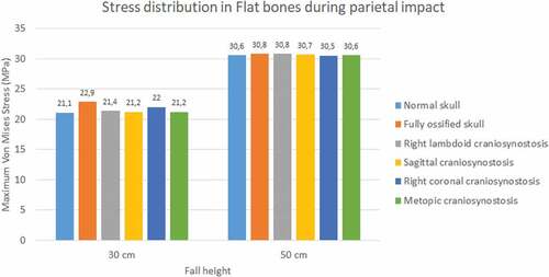 Figure 10. Maximum Von Mises stress in flat bones during parietal impact from 30 and 50 cm falls with different degrees of ossification in the sutures