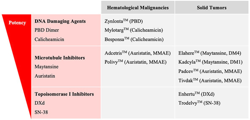 Figure 5. Approved ADCs Classified by Payload Class and Malignancy Setting. Approved ADC drug name and payload are provided. ADCs are listed from top to bottom based upon the potency of the payload utilized with PBD payloads being the most potent and SN-38 payloads the least potent.