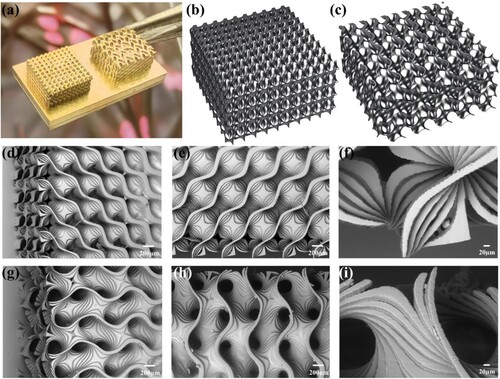 Figure 12. (a) Printed ‘Diamond’ (Left) and ‘Gyroid’ (Right) 3D structures. (b) Diamond 3D model. (c) Gyroid 3D model. (d-f) The SEM images of ‘Diamond’ 3D structures; (d) Vertical characteristics of the ‘Diamond’ structure, (e): Horizontal characteristics of the ‘Diamond’ structure. (f) Minimum characteristic structure of the ‘Diamond’ structure. (g-i) The SEM images of ‘Gyroid’ 3D structures. (g) Vertical characteristics of the ‘Gyroid’ structure (h) Horizontal characteristics of the ‘Gyroid’ structure. (i) Minimum characteristic structure of the ‘Gyroid’ structure.4 Conclusions