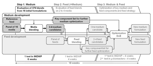 Figure 2. Improved development strategy using high-throughput cell culture methods based on media and feed blending. Medium and feed development and optimization of a fed-batch process using a 3 step strategy.