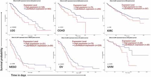 Figure 1. Association of LAIR-1 mRNA expression levels with overall survival