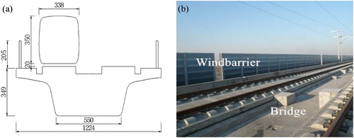 Figure 3. Vehicle-bridge system and wind barrier: (a) CAD of the model; (b) a practical bridge and wind barrier.