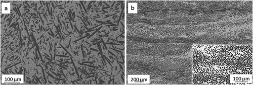 Figure 4. SEM images of (a) polished surface of a short fibre-reinforced composite, (b) polished section of an unidirectional ‘0/0°’ continuous fibre-reinforced composite. Inset: magnified image of fibres and matrix in (b).