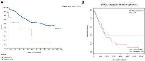 Figure 9 SNTG2 alteration and methylation are associated with worse OS in LUAD patients. Survival analysis for alteration of SNTG2 (A) and methylation of SNTG2 (B).