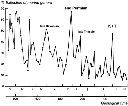 Figure 6. Extinction events such as the K/T extinction that wiped out the dinosaurs (except birds) are regularly recurring events on a geological scale (Raup and Sepkoski Citation1986). K/T stands for Cretaceous / Tertiary, marking the end of the Cretaceous Period (in geologic abbreviations the C was already taken for Carboniferous, hence K for “Kreidzeit”). The x-axis shows geological time, the letters mark the geological periods. The y-axis shows the percentage of marine genera that got extinct during these events. Percentage extinction of species is even higher because a genus contains many species making it much harder to extinguish a genus than a species. Note, though, decreasing severity of extinction events with time (adapted from Sepkoski 1996, Dawkins Citation2004).