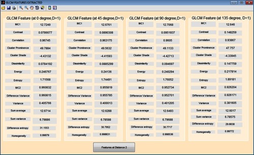 Figure 4 Gray level co-occurrence matrix (GLCM) features computed at D=1.