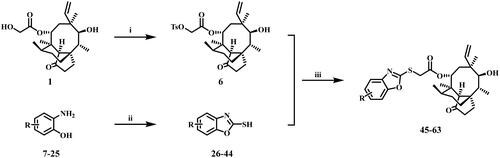 Scheme 1. Reagent and conditions: (i) acetonitrile, p-toluenesulfonyl chloride, NaOH, rt, 3 h; (ii)EtOH, CS2, KOH, 60 °C, 3 h; (iii) acetonitrile, thiol derivative, K2CO3, 70 °C, 3 h.