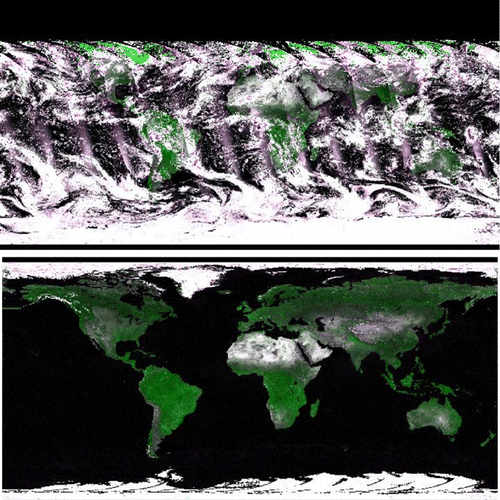 Figure 3. Original AVHRR data from the NASA 0.05° long-term AVHRR data-set on 7 January 2000 (top) and the reprocessed data (bottom). Color composite using bands 1 (blue), 2 (green), and 1 (red).