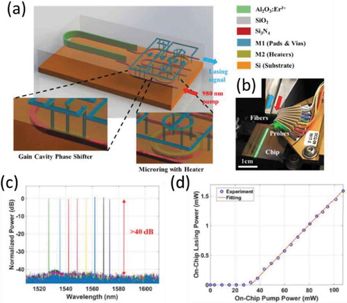 Figure 11. (a) 3D illustration of the external cavity laser design proposed in [Citation39]. (b) Fabricated device on the test setup, showing the characteristic erbium green color upconversion with 980 nm pumping. (c) Laser output spectra showing 46 nm tuning range with >40 dB side mode suppression ratio (SMSR). (d) On-chip laser output power with respect to launched on-chip pump power, showing a 2.2% slope efficiency. Figures taken from [Citation39]