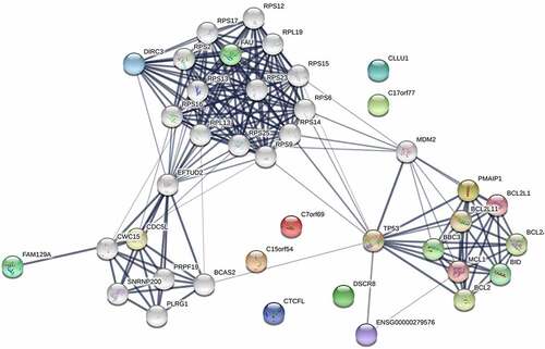 Figure 6. Protein-protein interaction network of differentially expressed RNAs in microbiota-mediated colorectal cancer, the nodes represent proteins, and the edges demonstrate the predicted functional associations between them, line thickness indicates the strength of data support