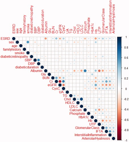 Figure 2. Correlation between variables. The magnitude and direction of the correlation are reflected by the size (larger is stronger) and color (red is negative and blue is posive) of the circles, respectively.