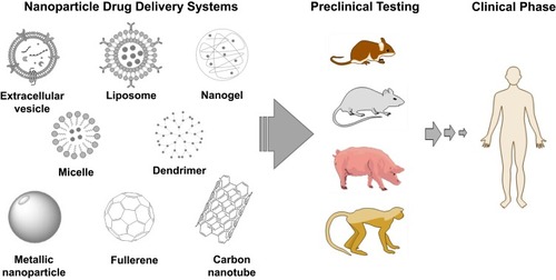 Figure 1 Nanoparticle DDS in the pipeline for stroke therapy.