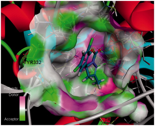 Figure 6. The H-Bonds surface of compound 6a and BuChE (PDB code: 1P0I) analysed by Discovery Studio 2017R2.