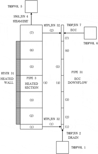 Figure 7. RELAP5 nodalization.