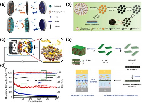 Figure 14. (a) Schematic diagram of HSC/MoS2 modified separator. Copyright 2019, WILEY-VCH [Citation131]. (b) Schematic diagram of the synthesis of the FPNs-G/separator. Copyright 2020, WILEY-VCH [Citation132]. (c) Working mechanism diagram of the modified separator. (d) Electrochemical performance graph. Copyright 2021, Elsevier [Citation133]. (e) Schematic diagram of the synthesis of MXene@C/PP/MXene@C separator. Copyright 2022, Wiley-VCH [Citation134].