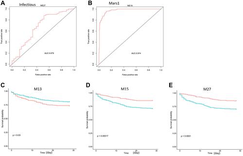 Figure 8 Modules are discriminative for infectious and mars1, and are prognostic for survival in sepsis dataset GSE65682. (A) M27 expression can separate samples with infectious sepsis and no infections. (B) M19 expression can distinguish samples with different MARS staging. (C–E) M13, M15 and M27 can significantly separate patients with different prognoses. The P values are computed using Log rank test.