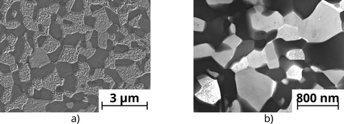 Figure 1. Microstructure of the investigated alloy Zn-22% Al: (a) SEM image; (b) Bright field STEM image.