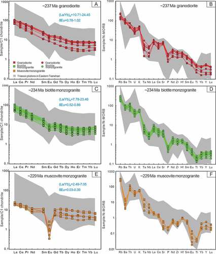 Figure 7. The Chondrite normalized REE patterns and N-MORB normalized trace element diagrams for Triassic Baishandong pluton in the Eastern Tianshan. The chondrite values and N-MORB values are from (allen et al. Citation1995) and Sun et al., Citation1989.