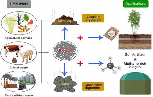 Figure 2. Recycling of biowaste and conversion into useful end products