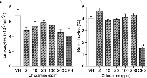 Figure 4.  Leukocyte counts and percentage of reticulocytes in female B6C3F1 mice exposed to chloramine for 28 days in their drinking water. Values represent mean (± SE) counts and percentages derived from eight mice/group. ** p ≤ 0.01 when compared to vehicle.