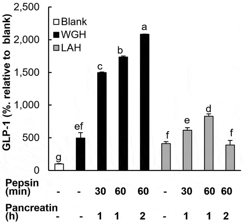 Figure 5. The effects of in vitro digestion of WGH or LAH on GLP-1 secretion in GLUTag cells.WGH or LAH was treated with pepsin and pancreatin for various time periods indicated below the X-axis. The GLUTag cells were exposed to the digested hydrolysates at 10 mg/mL for 1 h, and GLP-1 levels relative to the blank (considered to be 100%) are presented. The results are expressed as the mean ± SEM of three to four wells. Bars not sharing the same letters differ significantly (P < 0.05 by Tukey-Kramer test).