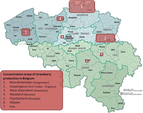 Figure 1. Concentration areas of strawberry in Belgium (derived from map NGI, Brussel).