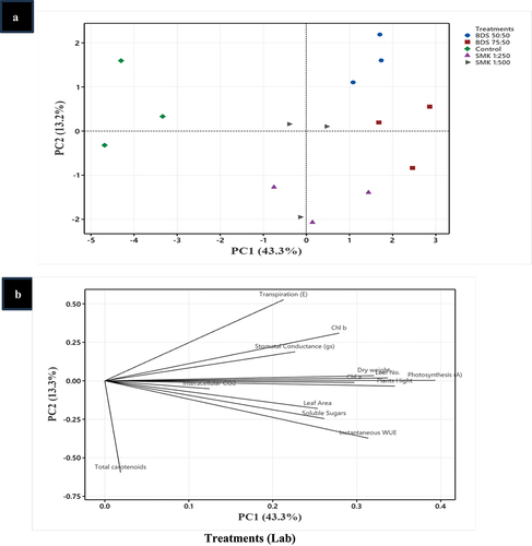 Figure 6. Principal component analysis (PCA) of SMK- and BGD-treated plants. (a) Treatments in lab conditions, (b) treatment responses in lab conditions, (c) treatments in in field conditions, (d) treatment responses in field conditions.