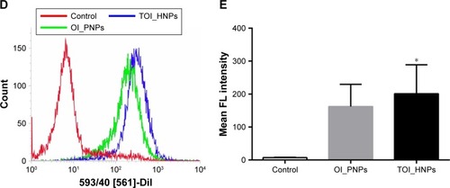 Figure 4 Cellular uptake of nanoparticles by SKOV3 cells (FR positive) and A549 cells (FR negative).Notes: (A) Fluorescence confocal microscopy images of SKOV3 cells incubated with TOI_HNPs, OI_PNPs, and TOI_HNPs plus free FA for 1 hour. A549 cells incubated with TOI_HNPs and OI_PNPs for 1 hour. Scale bar is 25 µm. (B, C) Flow cytometric analysis of mean fluorescence intensity for SKOV3 cells. (D, E) Flow cytometric analysis of mean fluorescence intensity for A549 cells. Compared with control, *P<0.05; compared with other groups, #P<0.05.Abbreviations: FA, folic acid; ICG, indocyanine green; LPHNPs, lipid–polymer hybrid nanoparticles; PFP, perfluoropentane; TOI_HNPs, folate-targeted LPHNPs-loaded ICG/PFP-carrying oxygen; OI_PNPs, PLGA NPs-encapsulated ICG and PFP-carrying oxygen; PLGA, poly (lactic-co-glycolic acid); FL, fluorescence.