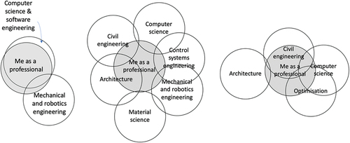 Figure 1. Multi-disciplinary identification task: three examples of representations of participants’ professional identity.