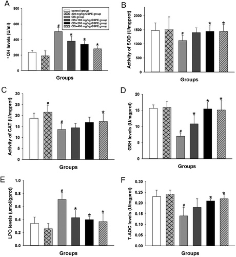 Figure 3. Protective effects of GSPE on CIS-induced oxidative stress in rat testes. (A) •OH levels, (B) activity of SOD, (C) activity of CAT, (D) GSH levels, (E) LPO levels and (F) T-AOC levels. Values were expressed as mean ± standard deviation (n = 8). Data analysis was performed using multiple comparisons (LSD t-test or Dunnett’s t-test). # GSPE, CIS groups versus the control group, * CIS + GSPE groups versus the CIS group (p < 0.05). •OH: hydroxyl radicals, SOD: superoxide dismutase, CAT: catalase, GSH: glutathione, LPO: lipid peroxidation, T-AOC: total antioxidant capacity.